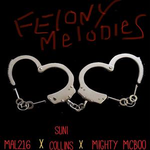 Felony Melodies (Explicit)