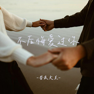 不后悔爱过你