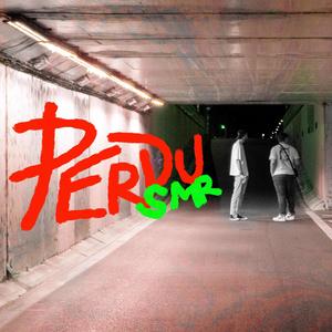 Perdu SMR (Explicit)