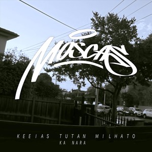 Moscas (Explicit)