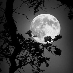 Swag (feat. JaeGloryy) (Explicit)