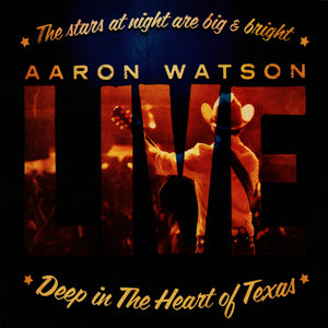 The Orphans Of The Brazos Band