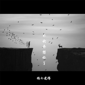 不会再想你了 (唱腔版伴奏)