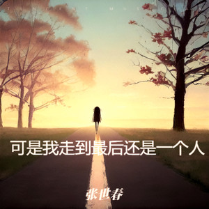 可是我走到最后还是一个人 (伴奏)