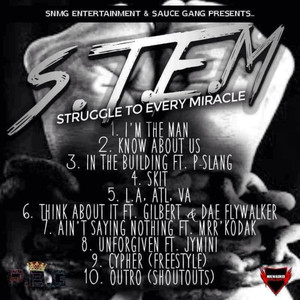 S.T.E.M. Struggle to Every Miracle