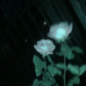 Reich Oder Arm (Explicit)