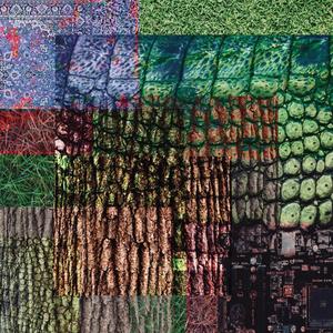 Harvey Dent On Crack Rock(feat. 3YE)