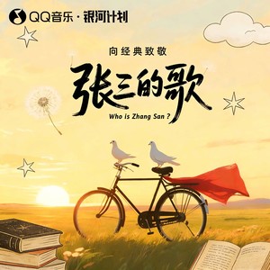 张三的歌 (我要带你到处去飞翔)封面