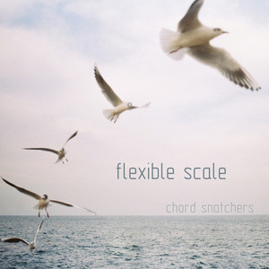 Flexible Scale