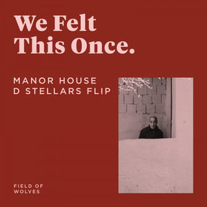 Manor House (D Stellar Remix)