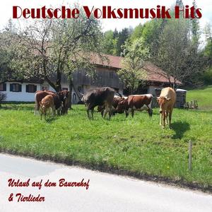 Das Lied vom Pony