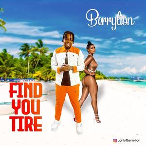 Find You Tire (FYT)