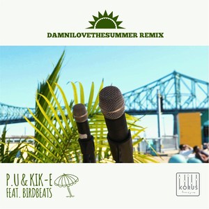 Damnilovethesummer (Remix) [feat. Birdbeats]