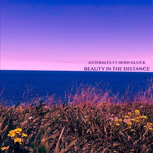 Beauty in the Distance (feat. Heidi Gluck)