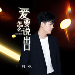 爱要怎么说出口 (DJ九零版)封面