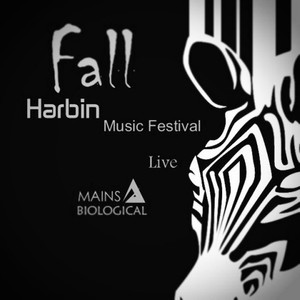 2015 Fall Music Festival Live