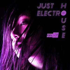 Just Electro House Vol. 1