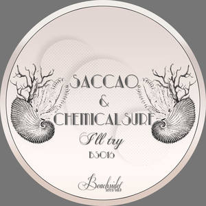 I'll Try (Original Mix)
