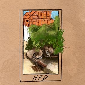 Hiding From Daylight