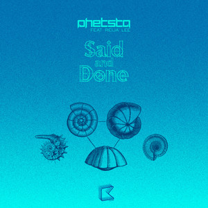 Said & Done[feat. Reija Lee] (Radio Mix)