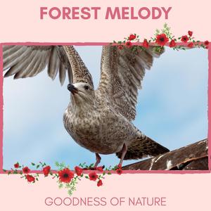 Forest Melody - Goodness of Nature