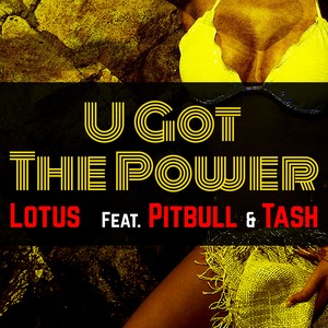 U Got The Power (feat. Tash & Pitbul) (Radio Mix)