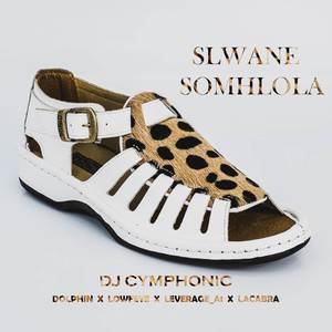 Slwane somhlola