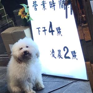 timmies-We Have no future (l.N.F / Heatz remix)