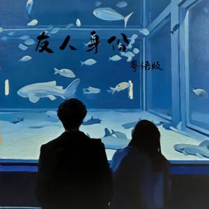 友人身份 (共你以友人身份)