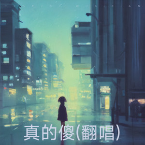 真的傻封面