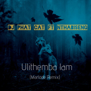 Ulithemba Lam (Marlode Remix)