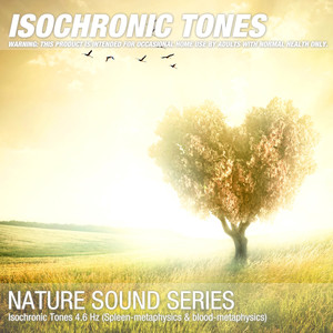 Isochronic Tones 4.6 Hz (Spleen-metaphysics & blood-metaphysics)