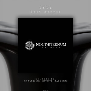 Grey Matter (ZKYZITE - Rmx)