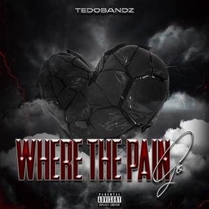 Where The Pain Go (Explicit)