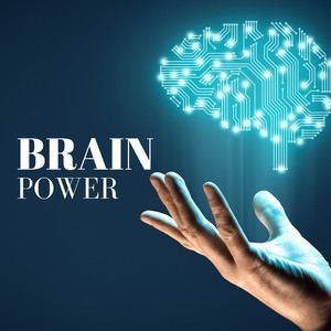 Brain Power - Study Alpha Waves for Deep Focus & Mindful Concentration