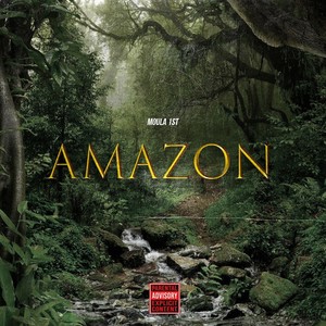 Amazon (Explicit)