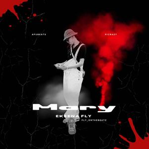MARY (feat. AFUBEATS & FLY_ONTHEBEATZ) (Explicit)