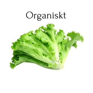 Organiskt (Explicit)