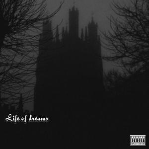 Life of Dreams (feat. Zi & Queezydareaper) [Explicit]