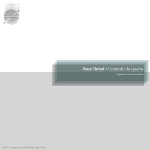 Controle Do Quarto (Tony Divino Remix)