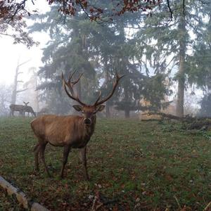 Just As Bad (feat. Oyatan)