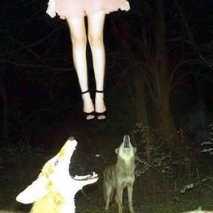 falling asleep while i'm driving (Explicit)