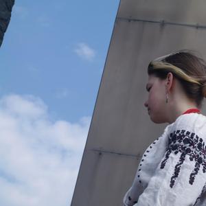 Ой воли ж мої, сірі, половії