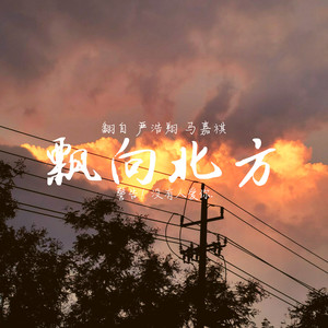 飘向北方