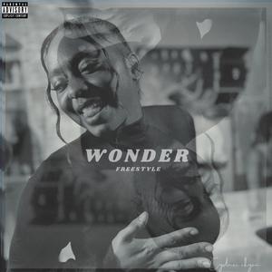 Wonder Freestyle (Explicit)