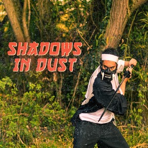 Shadows In Dust