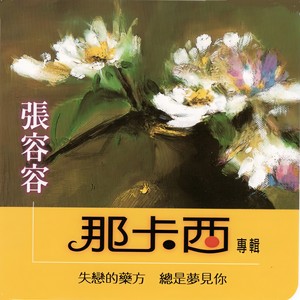 张容容 - 痛心的愛