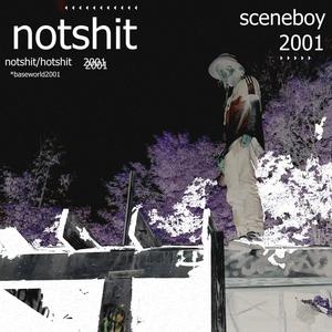 notshit (Explicit)