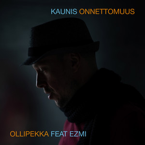 Kaunis onnettomuus