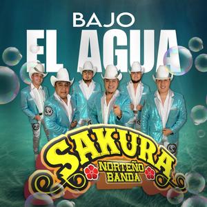 Bajo El Agua (Explicit)